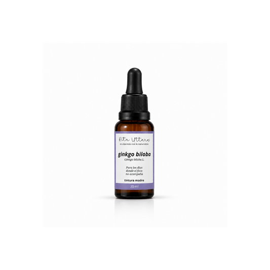 Ginkgo biloba. Foco y claridad mental en etapas de cambio hormonal. Gotas Extracto herbal. Tintura madre