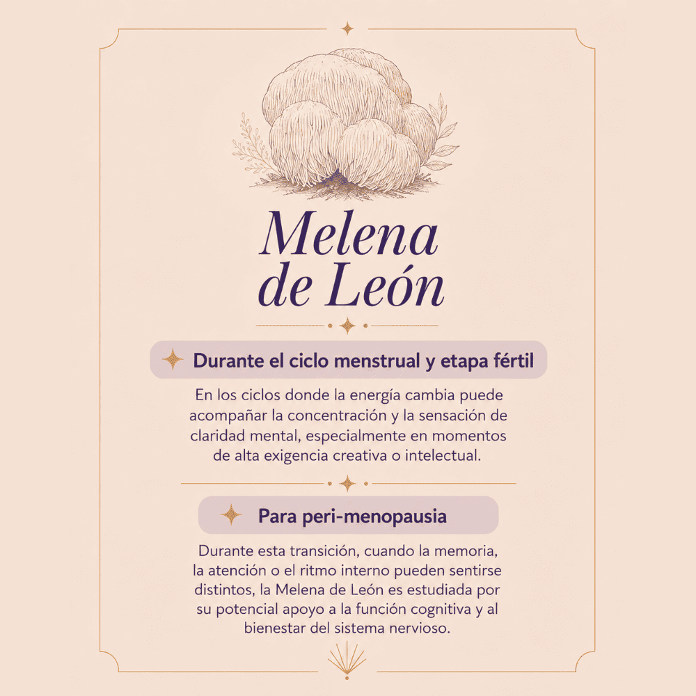 Melena de león. Hongo adaptógeno. Claridad mental y el equilibrio del sistema nervioso.