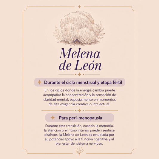 Melena de león. Hongo adaptógeno. Claridad mental y el equilibrio del sistema nervioso.
