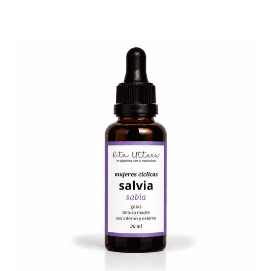 Salvia. Sabia. Digestión, sistema nervioso y vitalidad. Bienestar integral y armoniosa.