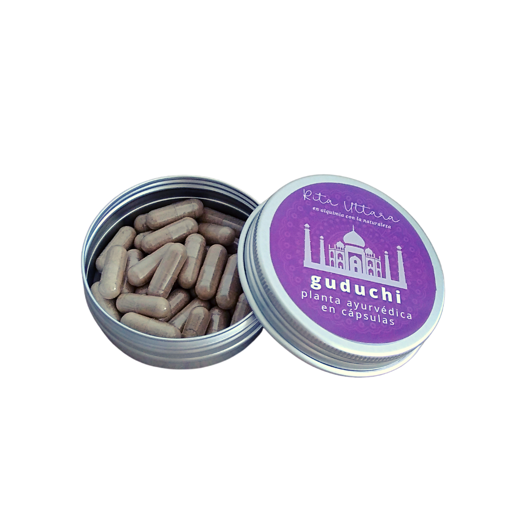Guduchi en cápsulas. Mejora el equilibrio microbiota. Rejuvenecedora. Ayuda a subir defensas. Facilita buen funcionamiento hígado. Envase reutilizable. Planta ayurveda