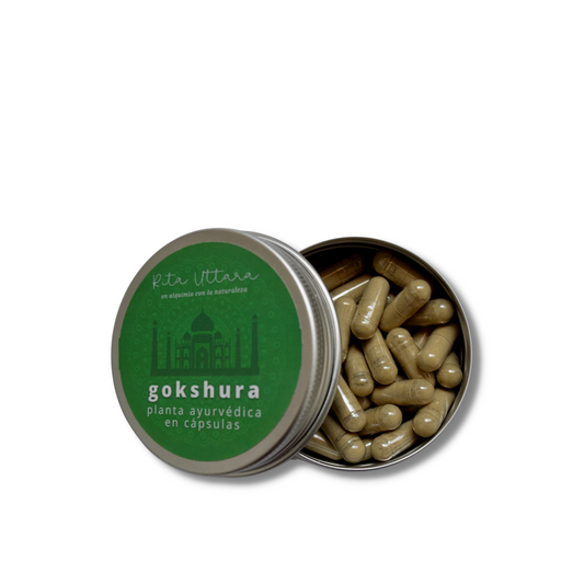 Gokshura MAN. Vegetable capsules. Helps prevent prostate and urinary tract disorders. Helps eliminate stones. Maintains healthy virility. Supports immune system function. Reusable container. Ayurvedic herb.