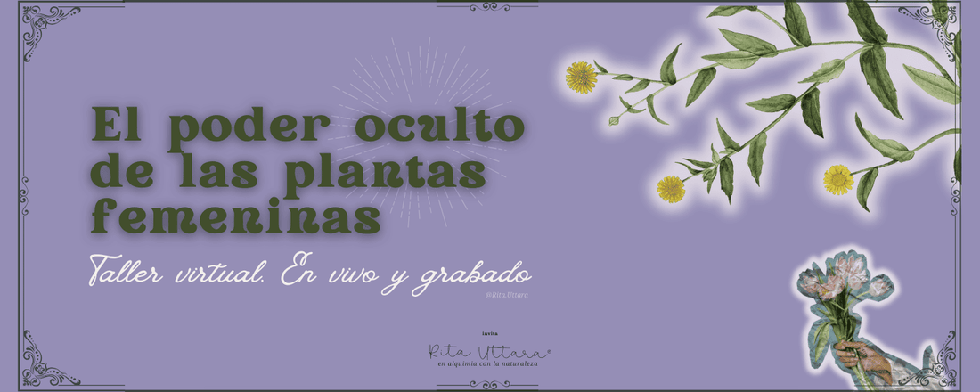Experiencia virtual