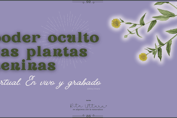 Experiencia virtual