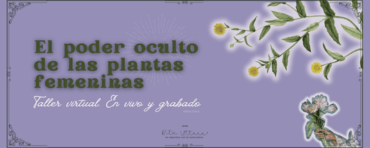 Experiencia virtual