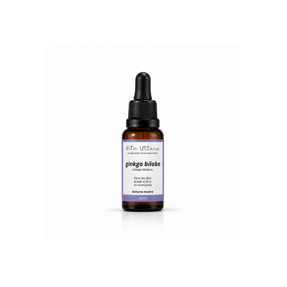 Ginkgo biloba. Foco y claridad mental en etapas de cambio hormonal. Gotas Extracto herbal. Tintura madre