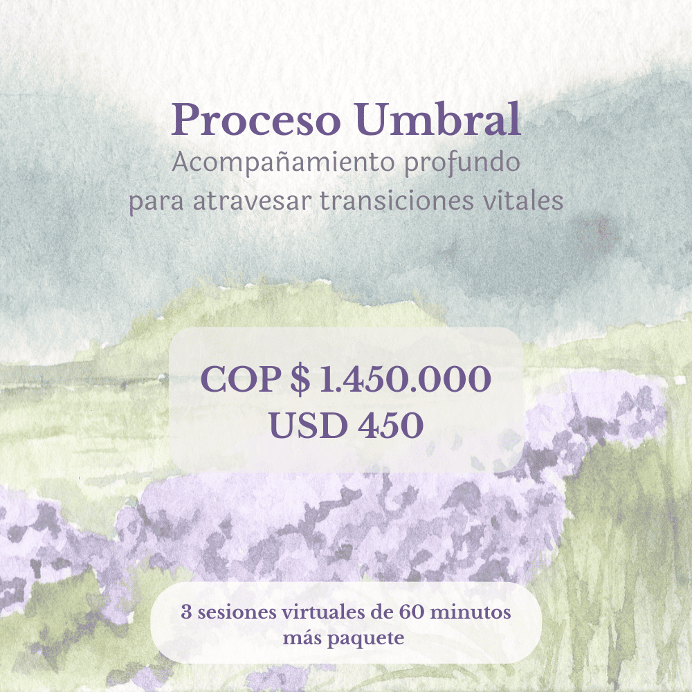 Sesión virtual 1:1 Proceso Umbral · Tres encuentros