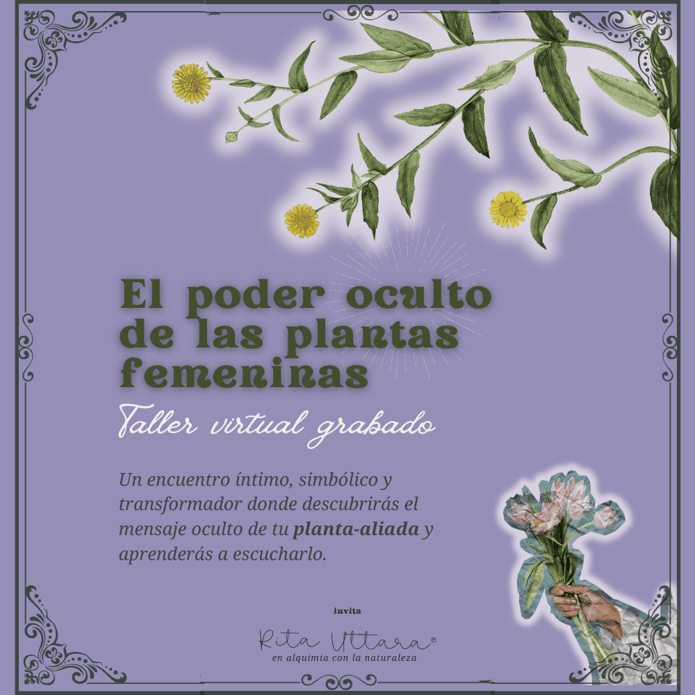 Taller virtual grabado: «El poder oculto de las plantas femeninas». Primera edición.
