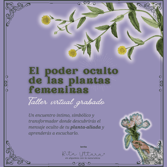 Taller virtual grabado: «El poder oculto de las plantas femeninas». Primera edición.